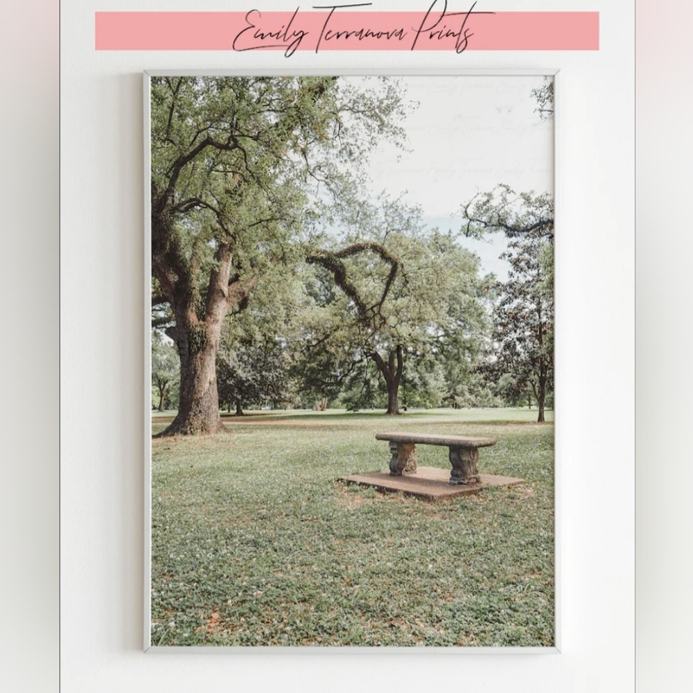 🌿 Beneath the Branches, New Orleans | 8x12 Photo Print || wall art, home decor